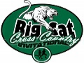 Big Cat Logo